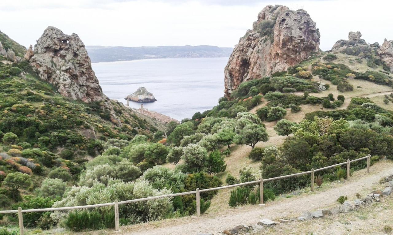 La Terrazza Fiorita Villa Nebida Buitenkant foto