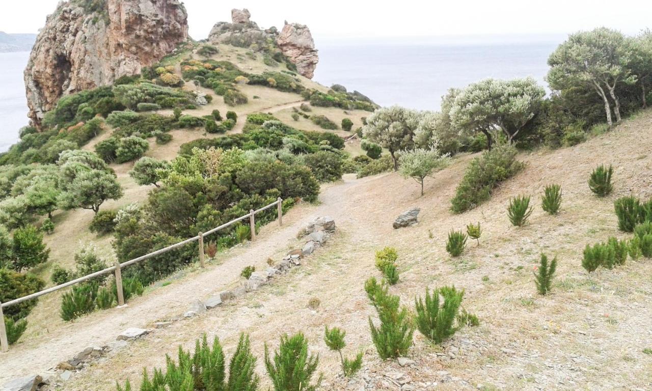 La Terrazza Fiorita Villa Nebida Buitenkant foto
